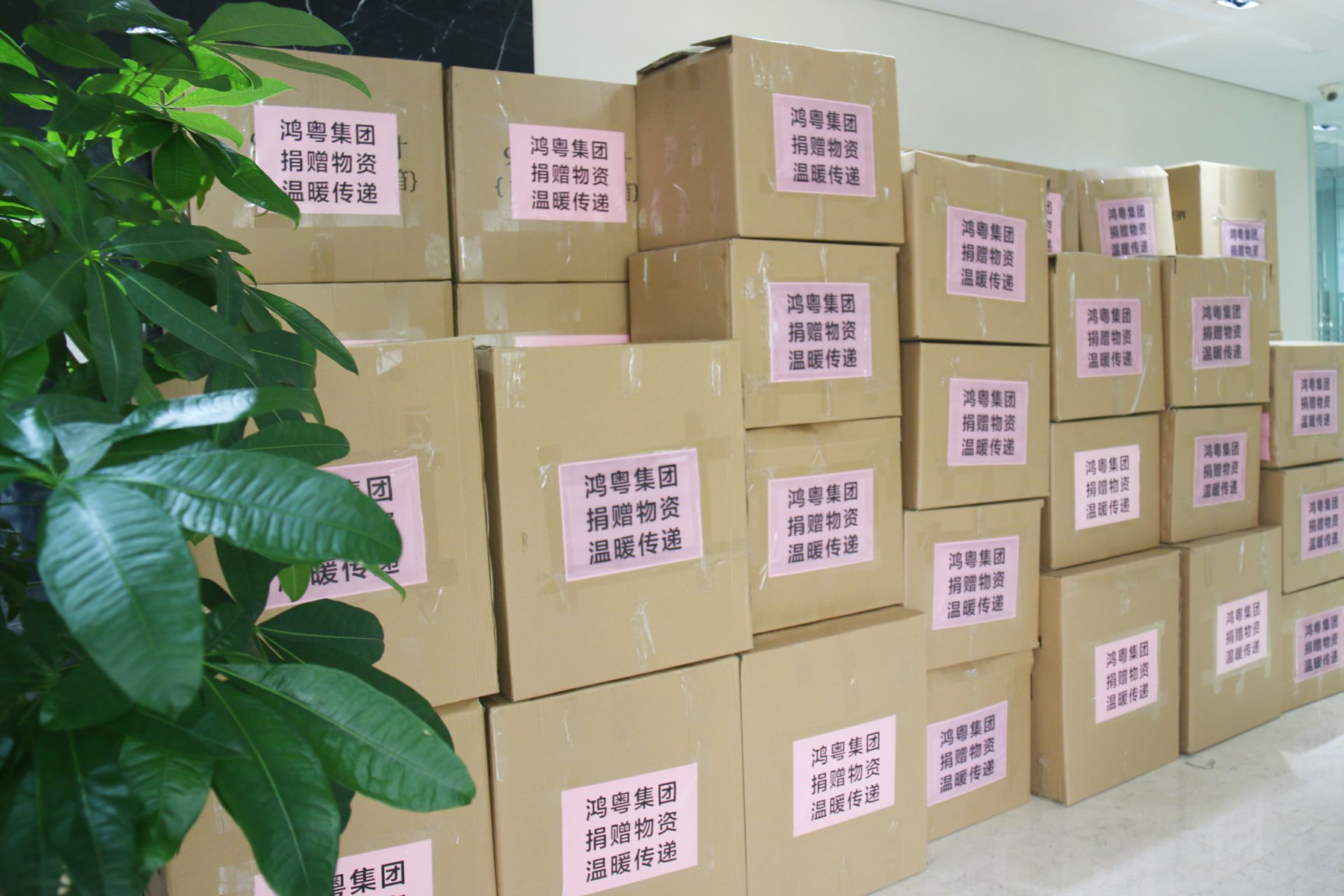 哈尔滨冯岩糕点烘焙培训有限公司公益回顾丨家国同欢月同圆 温暖满载甘孜州(图1)